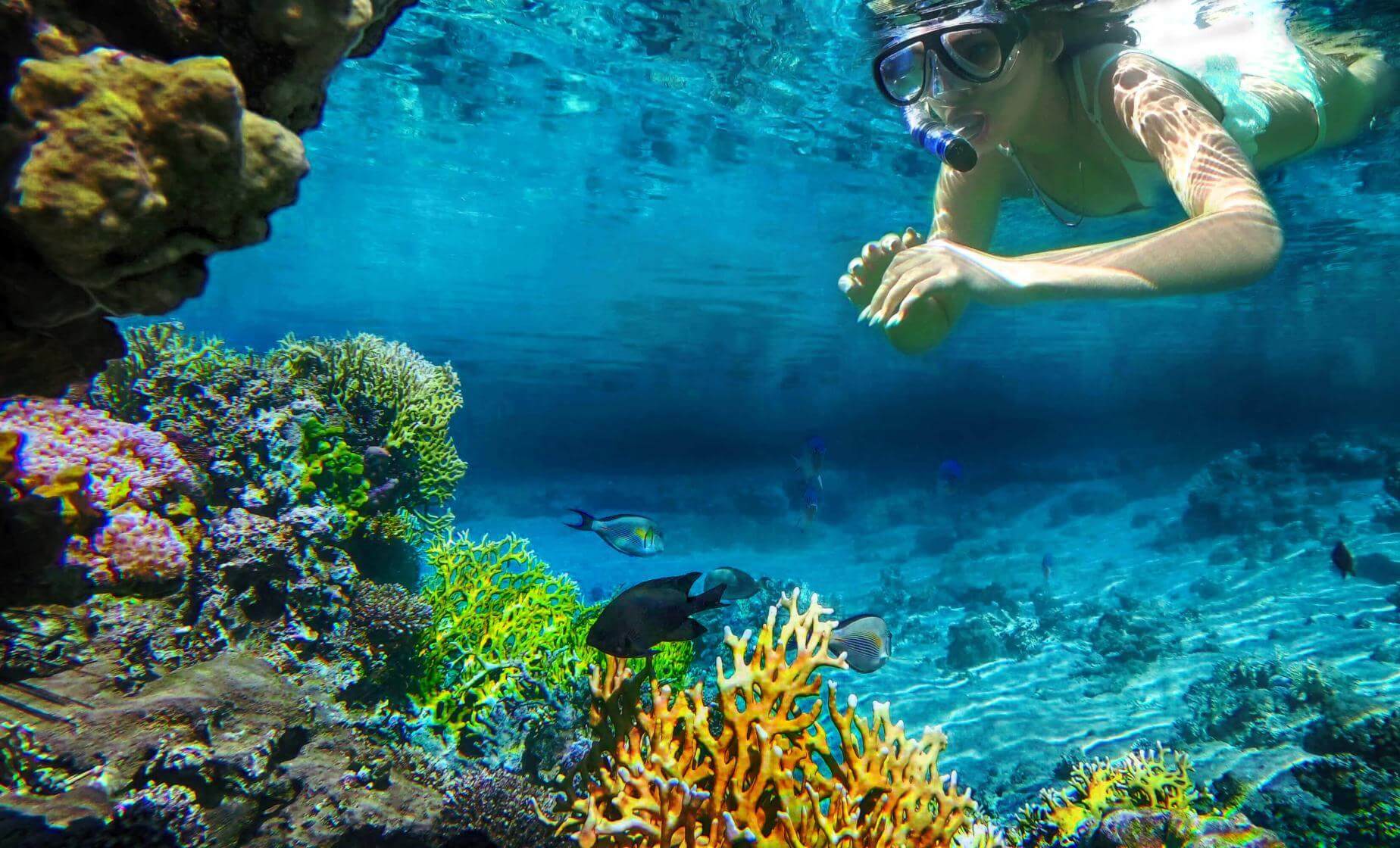 Snorkeling Safari