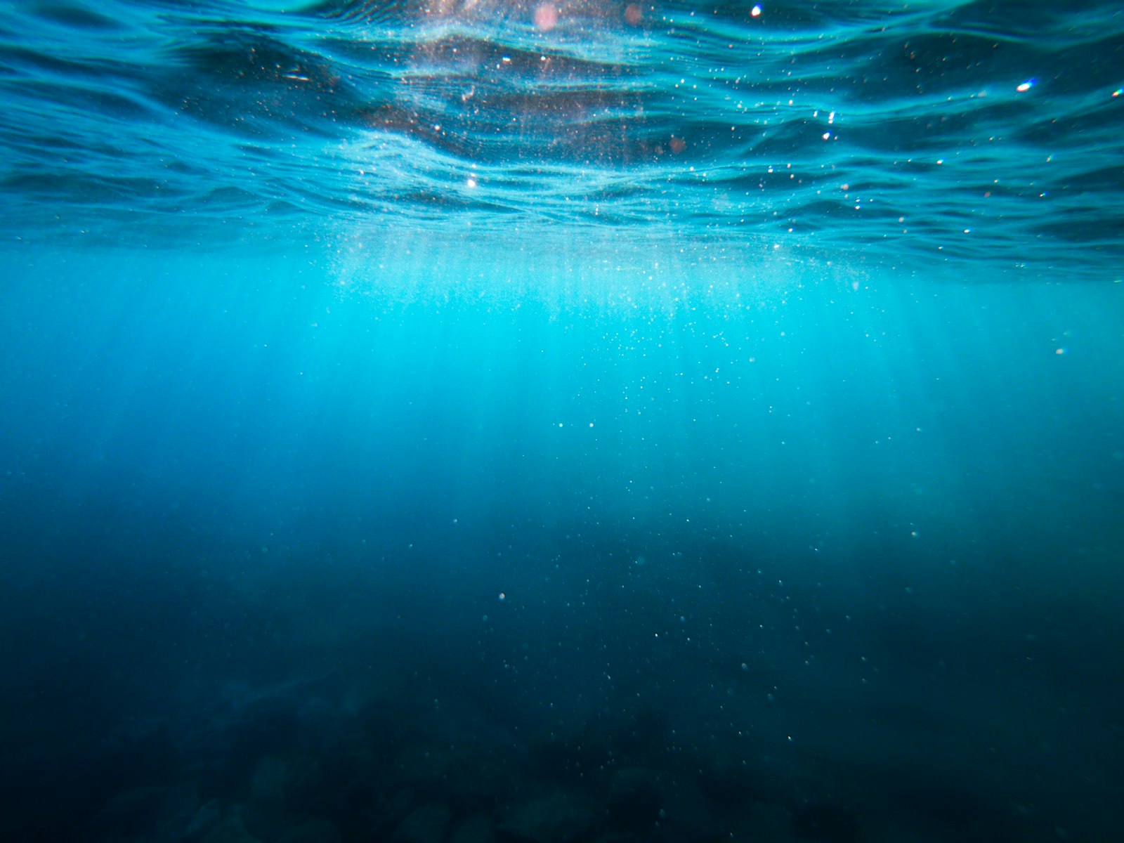 Blue Mind Freedive Intro